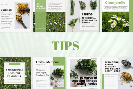 200 Herbal Medicine Templates for Social Media - Image 5